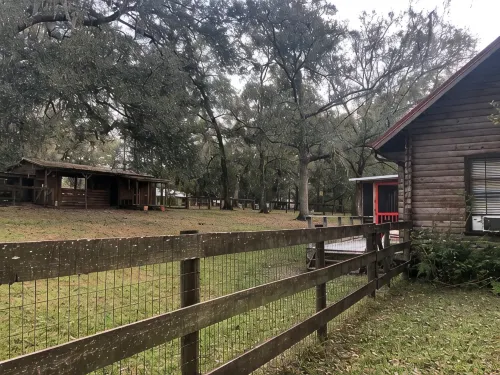 Log Cabin near Ocala and World Equestrian Center ideal for family retreats.