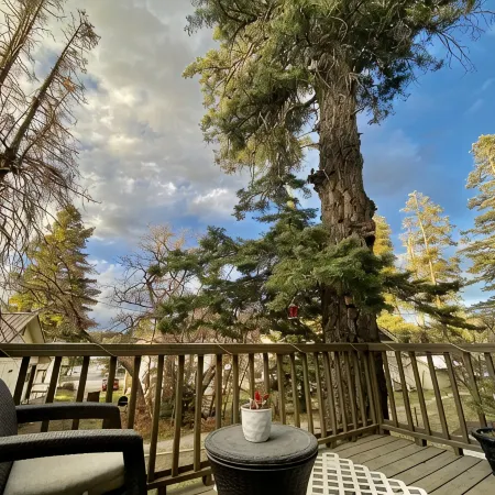 Charming& Cozy Cabin walking distance to downtown and trails