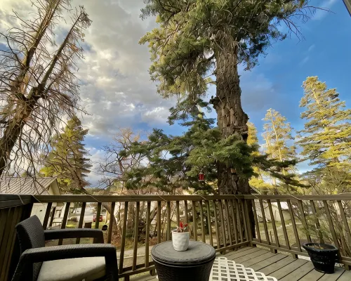 Charming& Cozy Cabin walking distance to downtown and trails Hotels in Cloudcroft