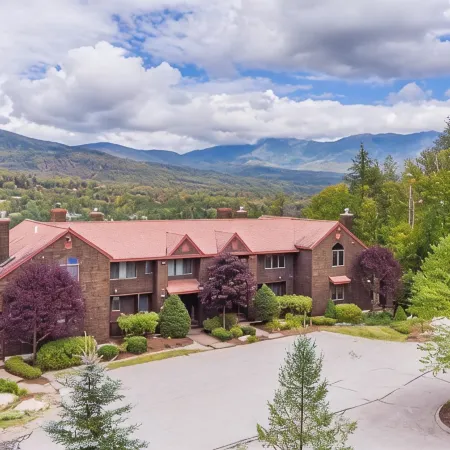 V3 Gorgeous Ski-in Mountain View Townhouse with Great Views in Bretton Woods Fast Wifi