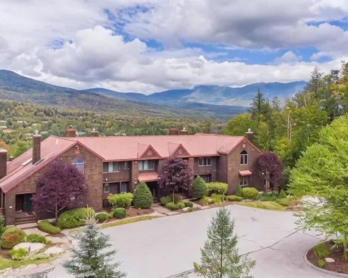 V3 Gorgeous Ski-in Mountain View Townhouse with Great Views in Bretton Woods Fast Wifi Hotels in Bethlehem