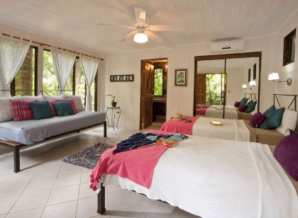 Roof Top Deck with Huge Views, 3 Pools, Chef Included, Game Room, Monkeys