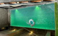 Ohana Suites Yogyakarta - สระว่ายน้ำส่วนตัว