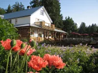 Heriot Bay Inn - Ocean View