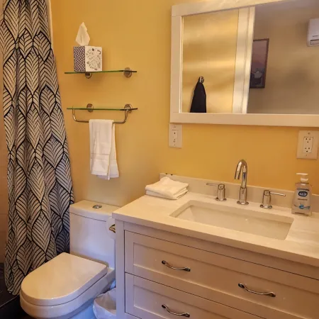 Cozy New Studio  in Charming Mount Vernon, Perfect for You and Your Pup