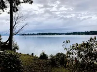 Stunning Views - New Listing, Waterfront Cottage - 4-Sterne
