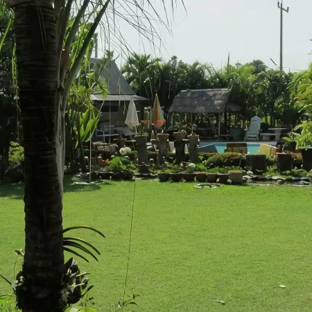 Orchid Hibiscus Guest House