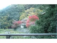Minamitei - Mountain view