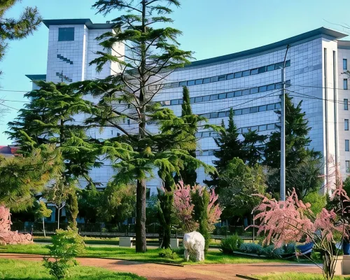Karavella Hotel Hotels in Tuapse