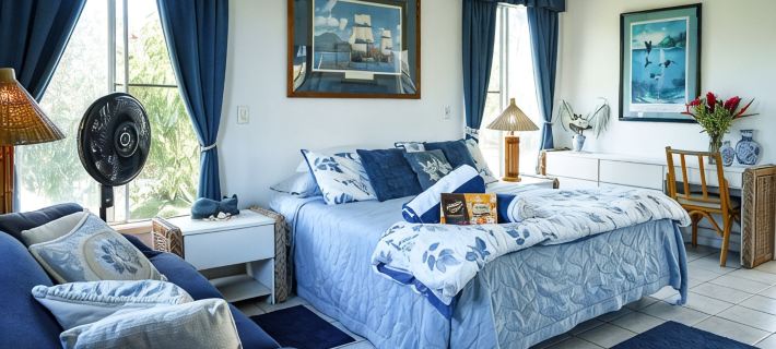 An Affordable Alternative to Expensive Accommodations in Poipu 콜로아 호텔