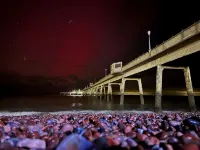 Just a stone’s throw from the beach - Wi-Fi