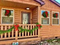 Cozy Cabin and Tubing!  Swim, Horses, Hiking, Lake-3 mi from Helen! Relax! - Kuntosalit