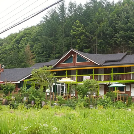 Wonju Chiak Mountain Club Pension
