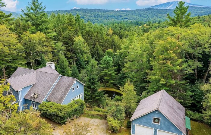 Relax & Recover Mountain Retreat - Hot Tub + Sauna + Home Gym