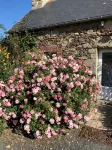 House at 700 m from the sea, facing south, garden, wifi, 1 bedroom, 2 persons - Wifi