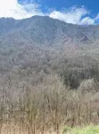 Less than 30 mins to Gatlinburg! Enjoy more nature and less traffic and crowds! - 2-Star