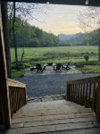 Secluded Creekfront Cabin Mountain Views.• Easy Access for Cars/Cycles•Near TOTD - Alppimaja