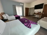 FCH Hotel Minerva-CAS - جاكوزي