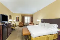 ฮอลิเดย์ อินน์ เอ็กซ์เพรส แอนด์ สวีทส์ โนกาเลส บาย IHG - สัตว์เลี้ยง