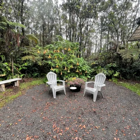 Hale Malie - a peaceful rainforest retreat minutes from Volcano National Park! Отели в г. Волкейно