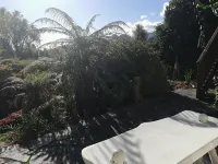 Joya Garden & Villa Studios - Scenic