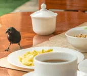 Hostal España - breakfast