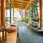 Ryokan Tanigawa - Hot Springs