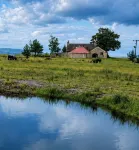 Stunning Highland retreat in peaceful glen near Dornoch - Wifi