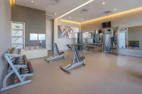 Courtyard Chihuahua - Gym