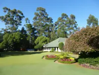 Ferncliff Bungalow