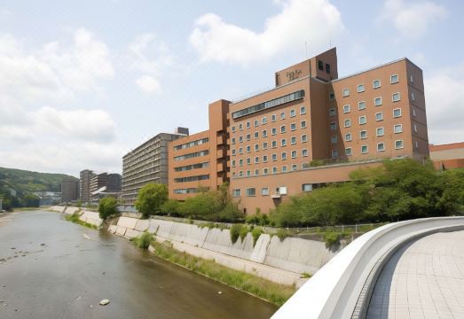 3. 다카라즈카 워싱..