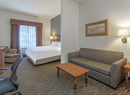 Holiday Inn Express & Suites MT Rushmore/Keystone