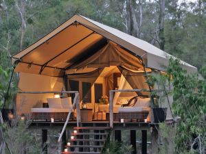 Paperbark Camp