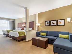 Comfort Suites San Antonio Ft Sam Houston-Sammc Area