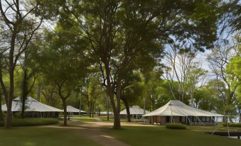 a group of tents is set up in a park with trees and grassy areas at Amanwana