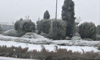 a snowy landscape with bushes and trees , as well as a street lamp in the foreground at Perinthos Hotel