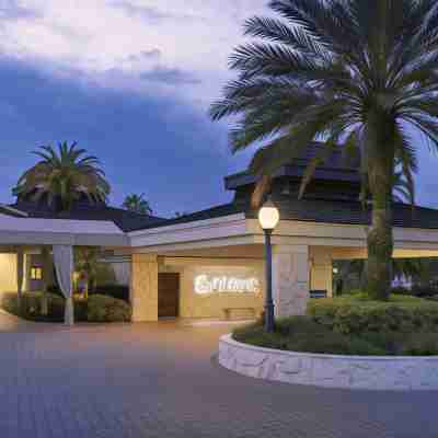 Saddlebrook Resort Hotel Exterior