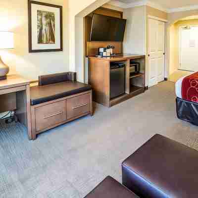 Comfort Suites Fresno River Park Rooms