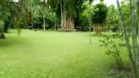 Sdd Bamboo Village Resort Hotels near ALIPURDUAR DURGABARI