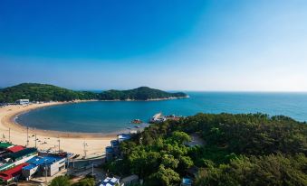 3. 더 위크앤 리조..
