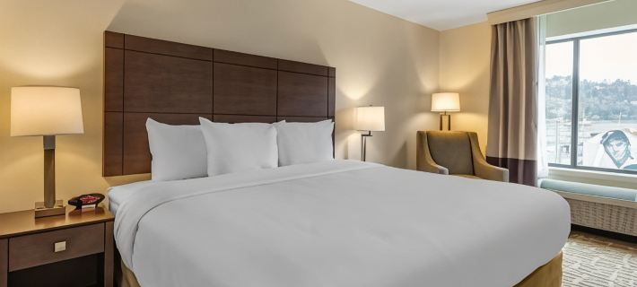 Comfort Inn & Suites Pittsburgh-Northshore Hotels in Pittsburgh