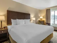 Comfort Inn & Suites Pittsburgh-Northshore Hotels near Randyland