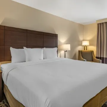 Comfort Inn & Suites Pittsburgh-Northshore
