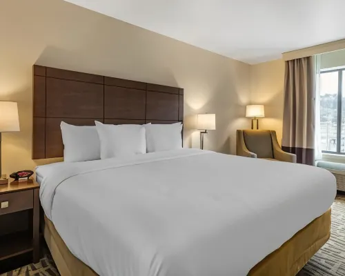 Comfort Inn & Suites Pittsburgh-Northshore Hotels in Pittsburgh