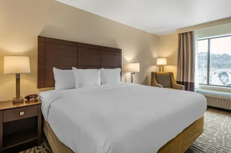 Comfort Inn & Suites Pittsburgh-Northshore Отели рядом с достопримечательностью «Фуникулёр Дюкен»