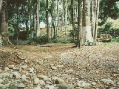 Habitación Y Baño Independientes