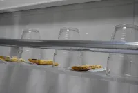 Hostal Italia - Bữa sáng