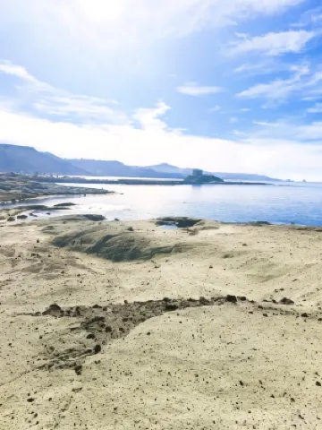 보사 게스트 하우스