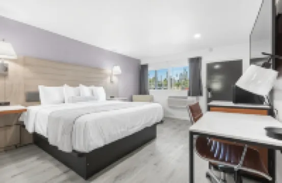 內陸酒店及套房