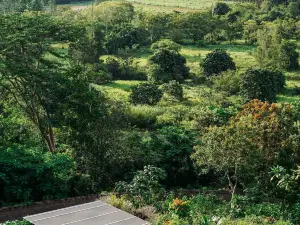 Rabbiz Hill Resort